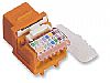 Cat5e Keystone Jacks, Tool-less